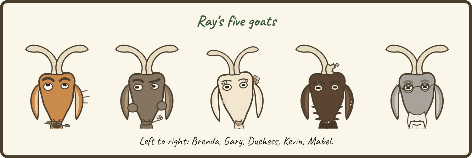 Ray's five goats, left to right: Brenda, Gary, Duchess, Kevin, Mabel