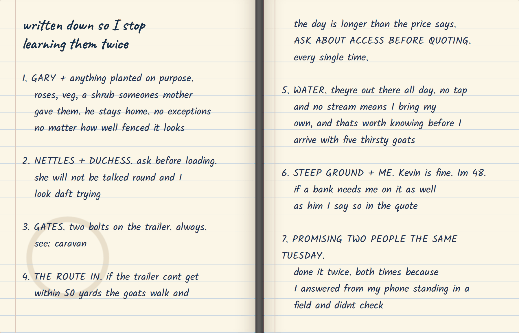 A handwritten page from Ray's notebook